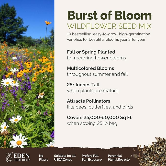 Eden Brothers Burst of Bloom Wildflower Mixed Seeds for Planting, 25 lb, 12,000,000+ Seeds with Cosmos, Black Eyed Susan | Attracts Pollinators, Plant in Spring or Fall, Zones 3, 4, 5, 6, 7, 8, 9, 10