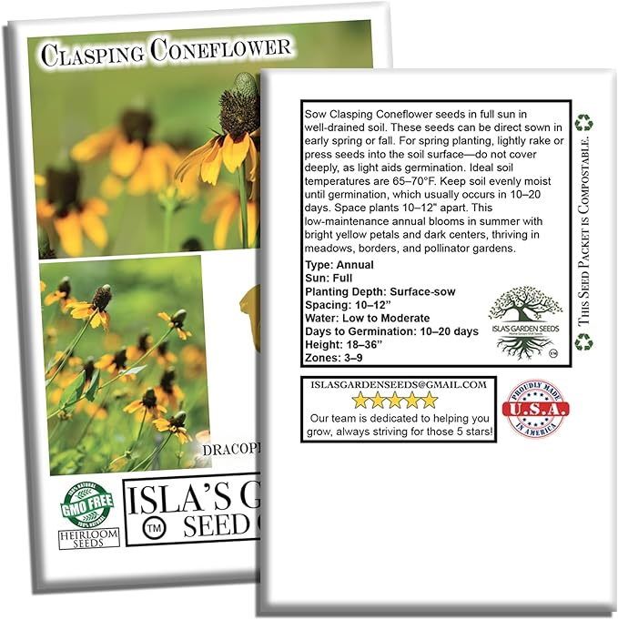 Clasping Coneflower Seeds (Dracopis amplexicaulis) – 1000+ Non-GMO & Heirloom Yellow Flower Seeds for Planting, by Isla’s Garden Seeds, Hardy Native Wildflower, Attracts Pollinators, Gift Idea