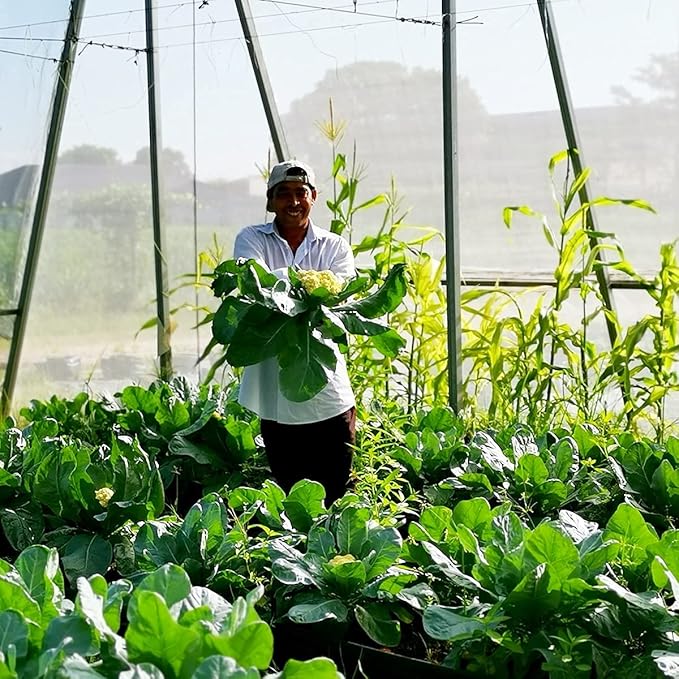 Garden Netting Pest Barrier: 8'x20' Fine Bug Netting for Garden Protection Row Cover Raised Bed Screen Mesh Greenhouse Mosquito Net, Protecting Tree Plants Vegetable Flowers Fruits