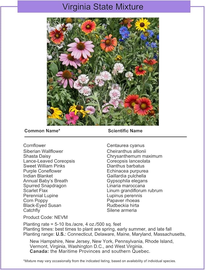 Virginia Bulk Perennial Wildflower Seed Mix 1lb Covers 2,000sq-ft - Attract Pollinators, Multi-Color Blooms - Northeast US Species Plant in Spring/Fall - Earth-Friendly Packaging (1/2 Pound)
