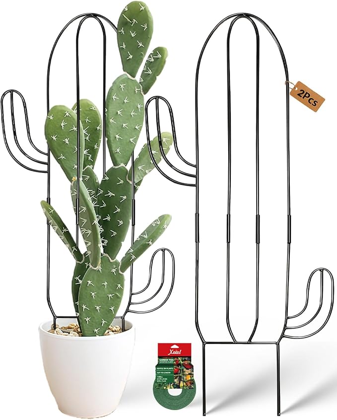 Plant Trellis for Climbing Plants Indoor, Cactus Trellis for Potted Plants, Pothos Hoya Monstera Metal Houseplant Climbing Support for Garden Balcony, 2P