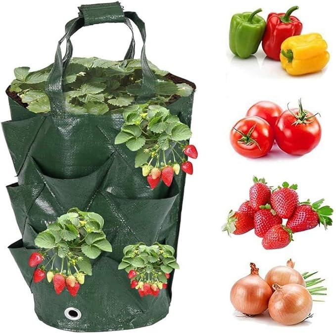 chislim Strawberry Planting Bags,2 Pack 3 Gallon Hanging Strawberry Planter with 8 Holes,Plant Growing Bags with Handle,Strawberry Planting Containers for Garden