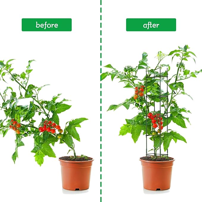 4 Packs Large Tomato Cages for Garden up to 6.5ft Heavy Duty Tomato Plant Trellis with 80 Clips Assembled Plant Support Cages with Adjustable Stake Arms for Vegetables, Climbing Plants (Green)