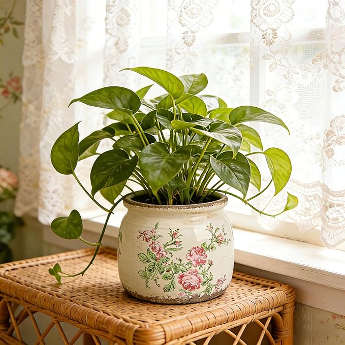Flower Pots Planters for Indoor Plants Ceramic Plant Pots with Drainage 6.1 Inch Vintage Ceramic Pots for Plants Outdoor Home Garden Decor, Vintage Pink Rose