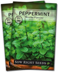 Sow Right Seeds - Peppermint Seeds for Planting - Non-GMO Heirloom Packet with Instructions for Easy Planting and Growing an Herbal Tea Garden - Indoors or Outdoor - Medicinal & Culinary (2)