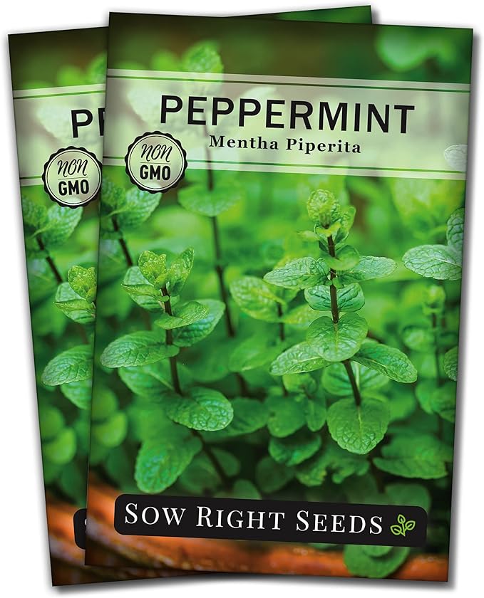 Sow Right Seeds - Peppermint Seeds for Planting - Non-GMO Heirloom Packet with Instructions for Easy Planting and Growing an Herbal Tea Garden - Indoors or Outdoor - Medicinal & Culinary (2)