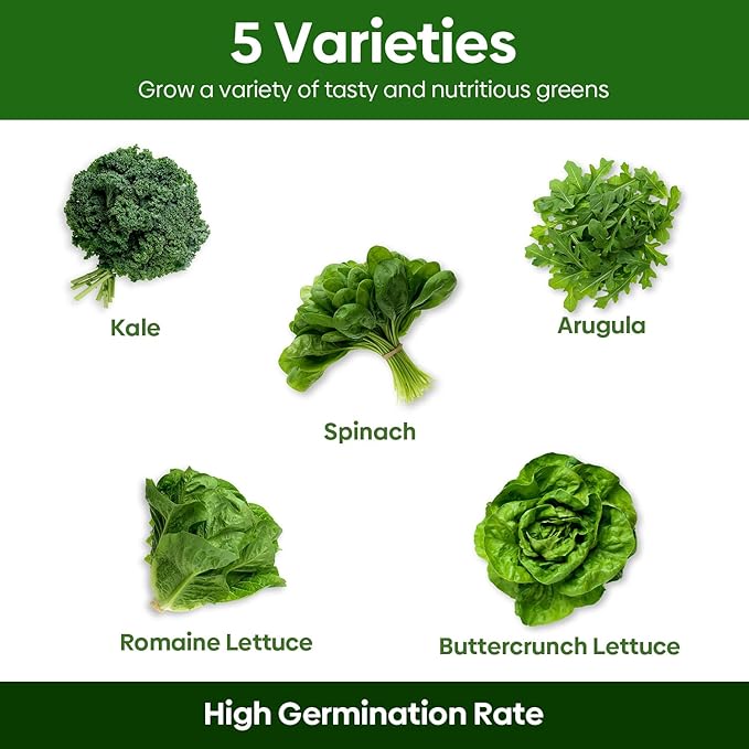 Groundio Lettuce Seeds, 5 Varieties Salad Greens Seeds, Non-GMO Heirloom Seeds for Planting Outdoor, Indoor or Hydroponic - Buttercrunch Lettuce, Romaine, Arugula, Kale and Spinach