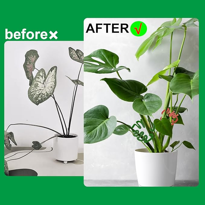 4PACKS Unique & Aesthetic Monstera Leaf Shape Grapple Plant Support, Grappler Rings, Plant Support Monstera with Ties, Keeps Plants Tame & Growing Vertical (red)