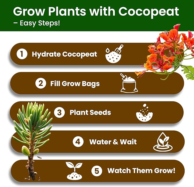 Bonsai Tree Kit for Beginners - 5 Unique Japanese Bonsai Seeds, DIY Indoor Gardening Crafts for Adults | Valentine's, Mother's Day & Birthday Gifts for Women and Men | Complete Starter Kit with Tools