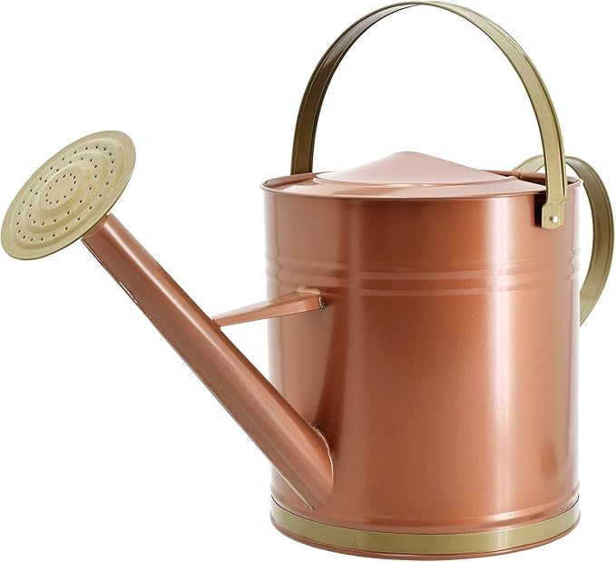 Classic Shiny Galvanized Metal Watering Can, Easy-Pour, Indoor and Outdoor, 2.6 gal, Shiny Galvanized Metal