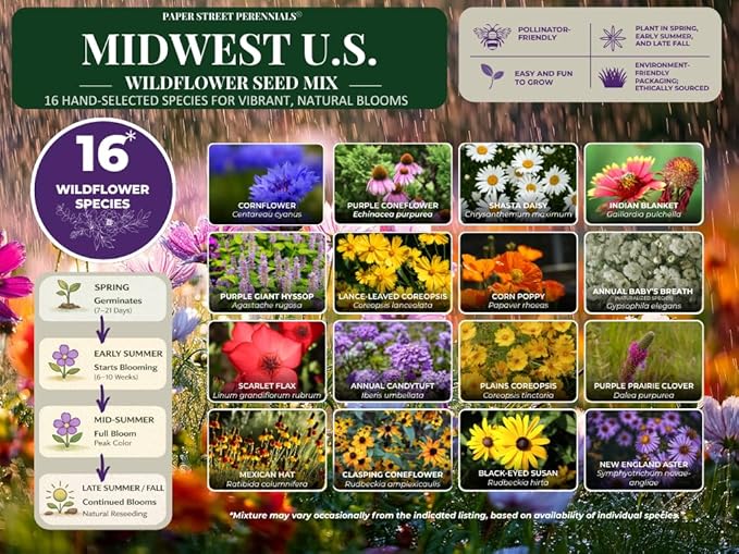 Wisconsin Bulk Perennial Wildflower Seed Mix 1/2lb Covers 1,000sq-ft - Attract Pollinators, Multi-Color Blooms - Midwest US Species Plant in Spring/Fall - Earth-Friendly Packaging (1/2 Pound)