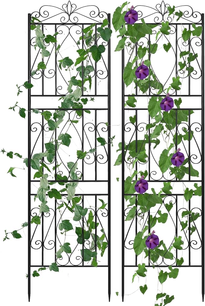 unho 2 Pack 71.6x20in Iron Arch Garden Trellis with Black Metal Coating–Perfect for Supporting Climbing Plants Outdoor, Roses, Vines, Flowers, and Vegetables