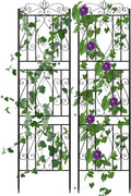 unho 2 Pack 71.6x20in Iron Arch Garden Trellis with Black Metal Coating–Perfect for Supporting Climbing Plants Outdoor, Roses, Vines, Flowers, and Vegetables