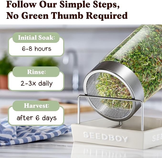 Seedboy Organic Non-GMO Sprouting Seeds, Gut Health Blend – USA Grown Microgreens Mix with Clover, Alfalfa, Fenugreek, Dill – 8 oz Bag Makes 8 Quarts / 24 Servings (Gut Health Blend)