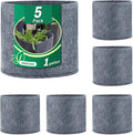 1 Gallon /5Pcs Grow Bags, Premium Nonwoven Aeration Fabric Planting Pots with Handles, Thickened and Heavy Duty for Vegetables Flowers Fruits, Indoor & Outdoor Gardening Nursery (1 gallon)