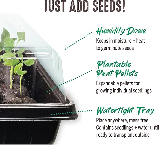 Ferry Morse Jiffy Tomato & Vegetable Seed Starter Tray Kit, 36 Cell 50mm Peat Pellets with Bonus SUPERthrive and Plant Labels - 2 Pack, 72 Pellets Total
