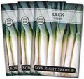 Sow Right Seeds - Giant Leek Seeds for Planting - Non-GMO Heirloom Packet with Instructions to Plant and Grow an Outdoor Home Vegetable Garden - Large Green Chive Onion - Cook Asian Cuisine (3)