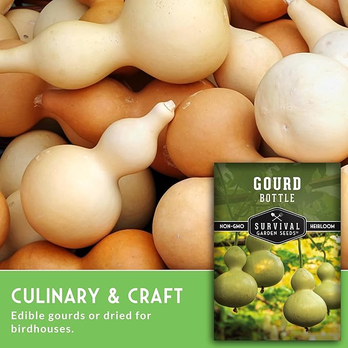 Bottle Gourd Seed for Planting - 3 Packets with Instructions to Plant & Grow Birdhouse or Calabash Gourds in Your Home Vegetable Garden - Non-GMO Heirloom Variety - Survival Garden Seeds