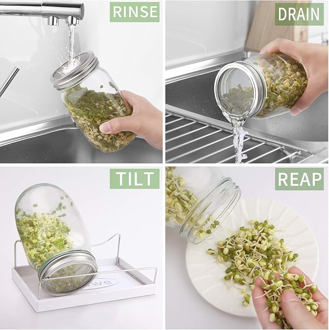 Sprouting Jar Kit-2 Wide Mouth Quart Mason Jars with 316 Stainless Steel Screen Sprout Lids,Melamine Tray,Stand and Canning Brush | Seed Sprouter Set for Growing Broccoli, Alfalfa, Mung Bean (Black)
