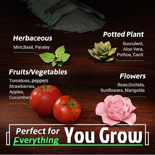 Dr. Raifya's Mycorrhizal Fungi Inoculant, 10X Concentrated, Up to 700 Plants–Organic Root Stimulator to Strengthen Roots, Enhance Growth & Increase Yield, Safe for Vegetables, Flowers & Fruits, 2.2lb