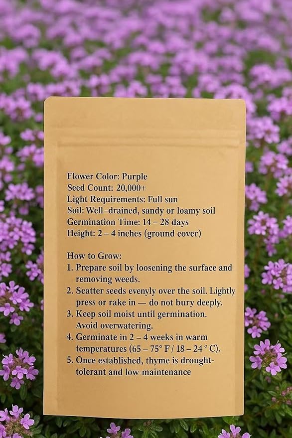 20000+ Creeping Thyme Seeds for Planting -Perennial Ground Cover Plants Flowers Non-GMO Heirloom (Purple)
