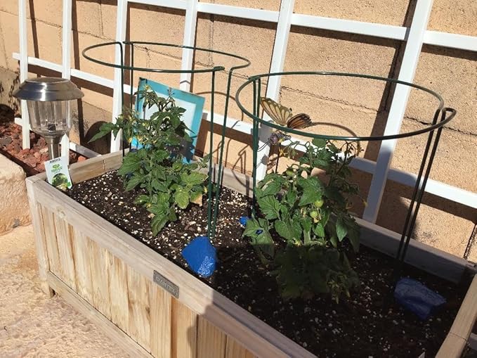 12 Pack 15.8 Inch High Plant Stake,Garden Plant Support,Half-Round Peony Cage Plant Ring Hoop