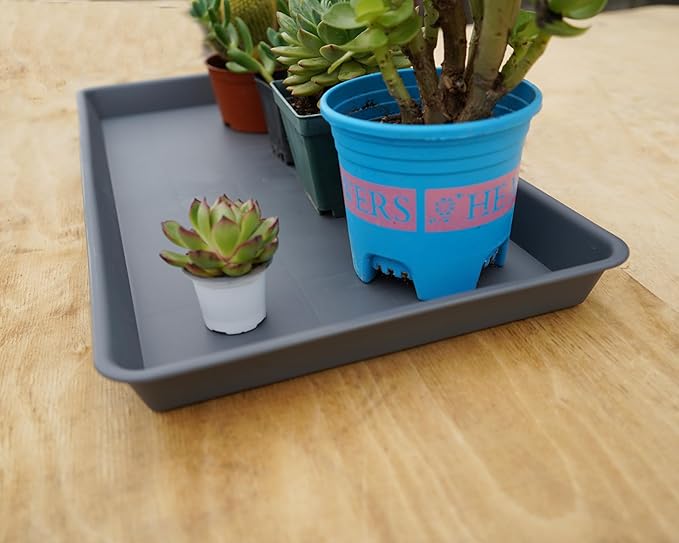 VUWEZ 2 Pack Plant Saucer Tray Rectangular, Plant Growing Nursery Trays, Heavy Sturdy Seed Starting Trays, Plant Starter Trays for Indoors No Holes, Seed Starter Growing Tray (17.5"x10.6", Gray)