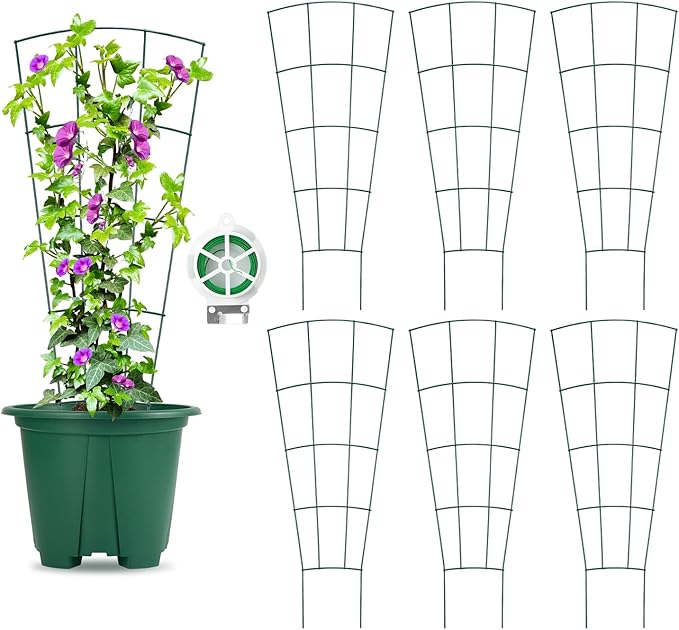 6-Pack Indoor Plant Trellis - 24 Inches, Heavy-Duty Metal for Climbing Houseplants, Flowers, Vines, and Ivy