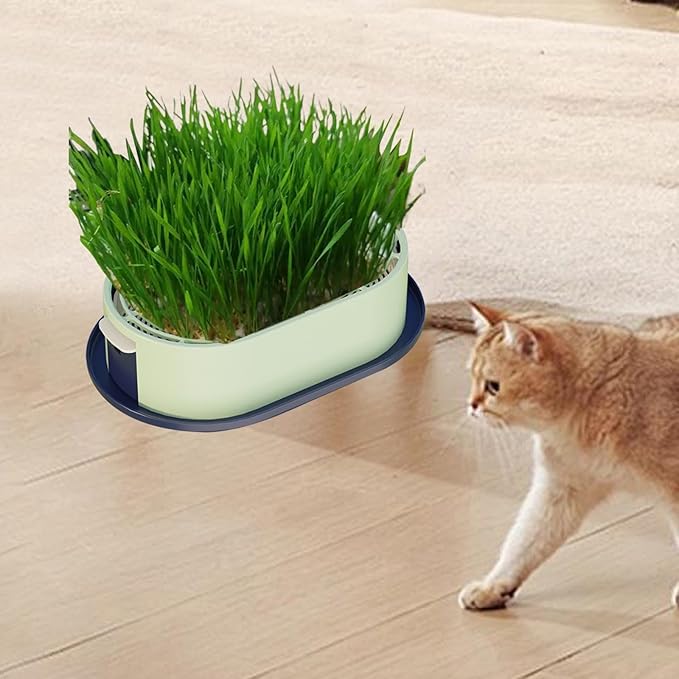 Cat Grass Germination Starter Planter Sprouting Tray Accessories for Soilless Planting Multifunctional Wheatgrass Growing Pot, Dark and Light Green