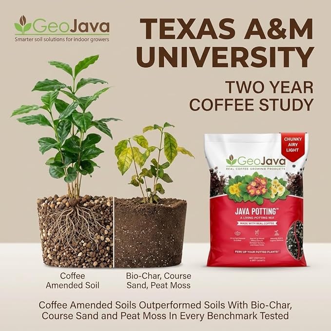 Java Potting Soil: A Well Draining, Coffee‑Infused Living Indoor Mix Ready to Grow. for All Monstera, Calathea, Fiddle Leaf Fig, ZZ, Snake, Spider and Pothos Plants; with Chunky Vermiculite. 6 (QT)