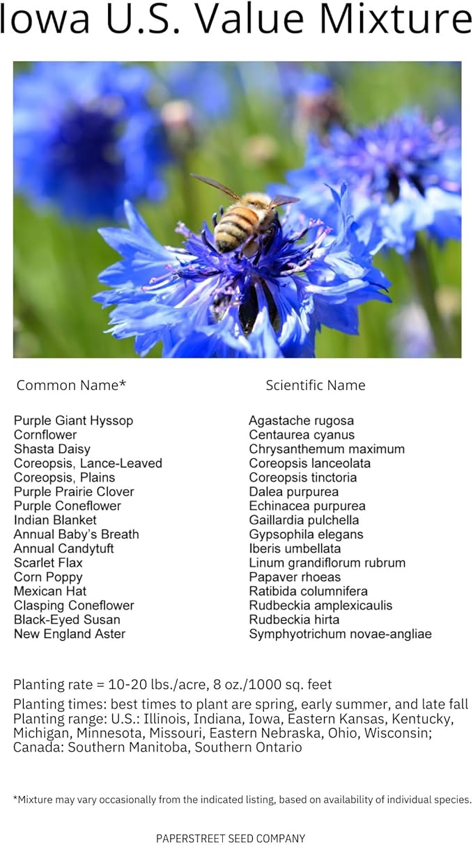 Iowa Bulk Perennial Wildflower Seed Mix 1lb Covers 2,000sq-ft - Attract Pollinators, Multi-Color Blooms - Midwest US Species Plant in Spring/Fall - Earth-Friendly Packaging (1/4 Pound)