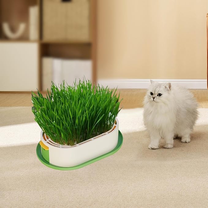 Cat Grass Germination Starter Planter Sprouting Tray Accessories for Soilless Planting Multifunctional Wheatgrass Growing Pot, Green and Yellow