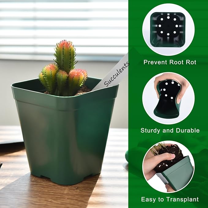 June Fox 60 Pcs Square Nursery Pots for Plants, 5 Pcs Seed Starter Tray Kit, Small Seedling Pots 4 Inch with 60 Plant Tags, Seedling Trays (Green)