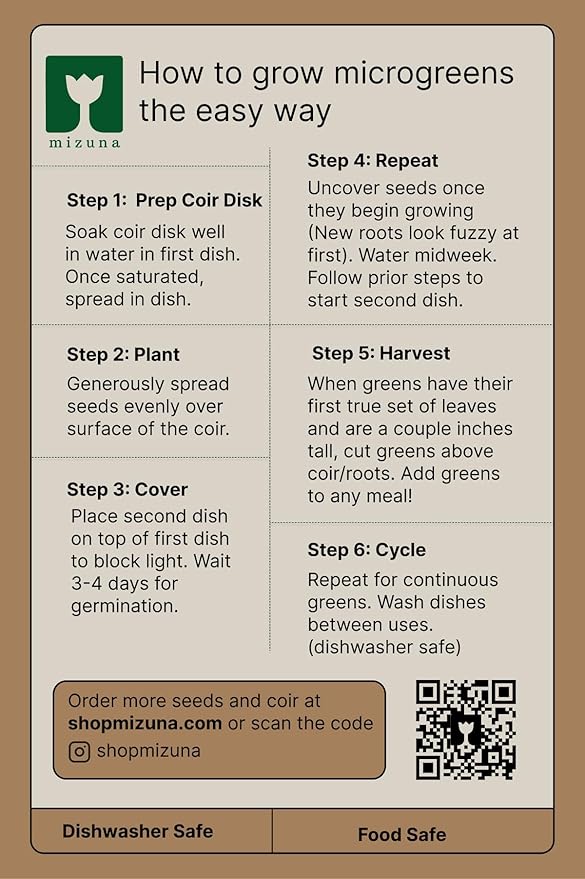 mizuna Microgreens Growing Kit — 2 Ceramic Trays, Coconut Coir & Seeds | Indoor Windowsill Grow Kit | Gift for Plant & Food Lovers