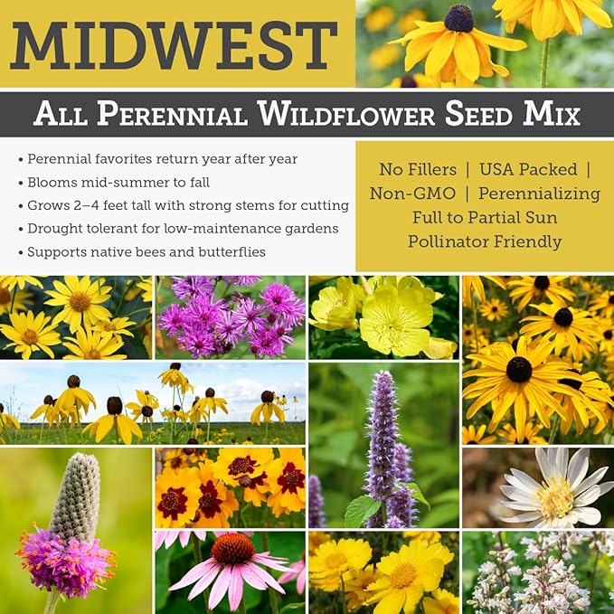 Willard & May Midwest All Perennial Wildflower Seed Mix, 25,000+ Bulk Flower Seeds, 18 Varieties, Pollinator Friendly, Full Sun, Easy Direct Sow, Bulk Flower Seeds Plant in Spring or Fall (1 Ounce)