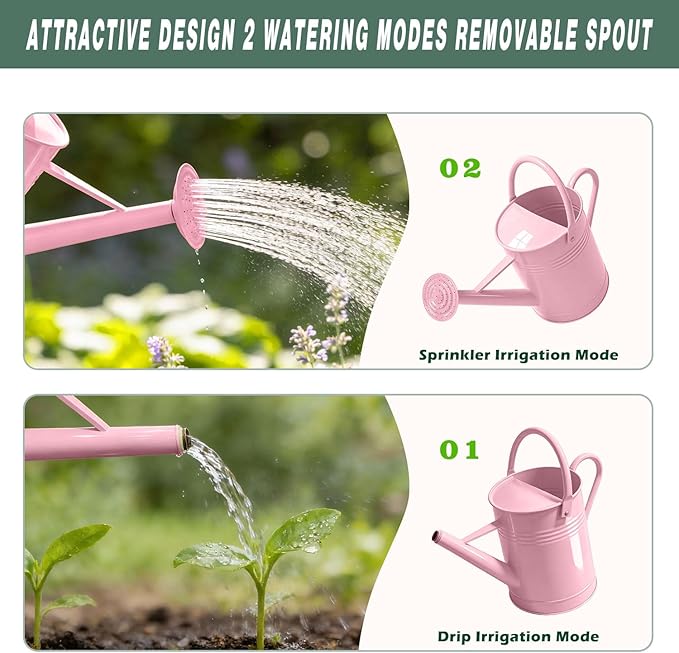 6.5L Metal Watering Can for Outdoor & Indoor Plants, Galvanized Steel Metal Water Can with Removable Spout, Movable Top Handle, Rust-Resistant Watering Pot for Garden, Lawn, Flowers