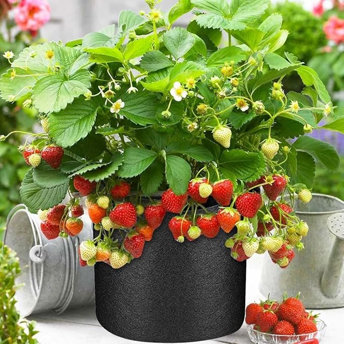 150 Pack 5 Gallon Grow Bags Bulk,Thickened Nonwoven Plant Fabric Pots with Handles,Heavy Duty Breathable Plant Growing Containers Bags for Garden Fruit Vegetable Flower