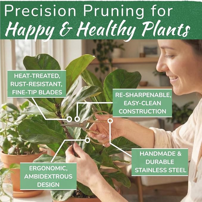 Premium Houseplant Scissors | 100% Stainless Steel, Ultra-Precise Garden Clippers for Propagation & Trimming | Rust-Resistant, Easy Clean Pruning Shears | Indoor & Outdoor | Comfortable & Ambidextrous