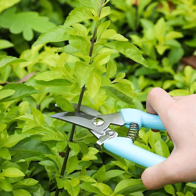Lothee 12 Pcs Gardening Scissors Pruning Shears Stainless Steel Plant Scissors Flower Cutters for Stems Flower Clippers Garden Pruners for Cutting Flowers, Plants, Light Branches and Picking Fruits