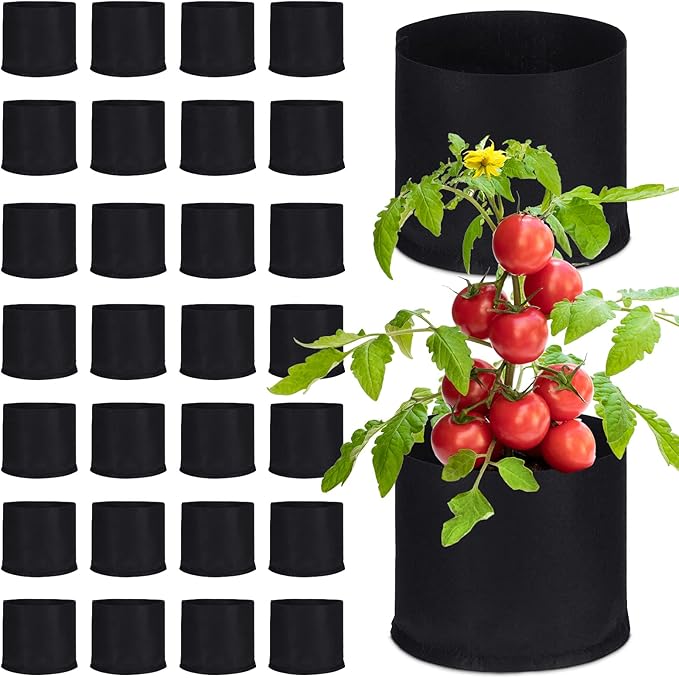 Zubebe 30 Pcs Plant Grow Bags Bulk Garden Aeration Growing Bags Heavy Duty Thickened Nonwoven Fabric Plant Pots Black Planting Container for Potato Tomato Vegetables Flower Fruit(5 Gallon)