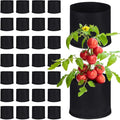 Zubebe 30 Pcs Plant Grow Bags Bulk Garden Aeration Growing Bags Heavy Duty Thickened Nonwoven Fabric Plant Pots Black Planting Container for Potato Tomato Vegetables Flower Fruit(5 Gallon)