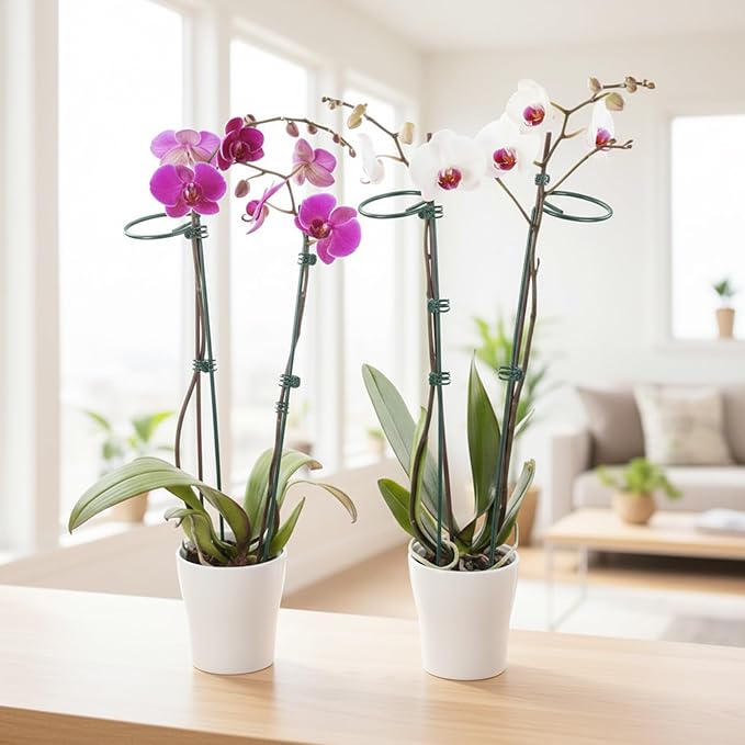6pcs Plant Support Stakes Plant Stakes for Indoor 12/25/36 Inch Plants Sticks Support Adjustable Tall Plants Holder Sticks with 30 Clip for Peony Tomato Orchid Lily Flower