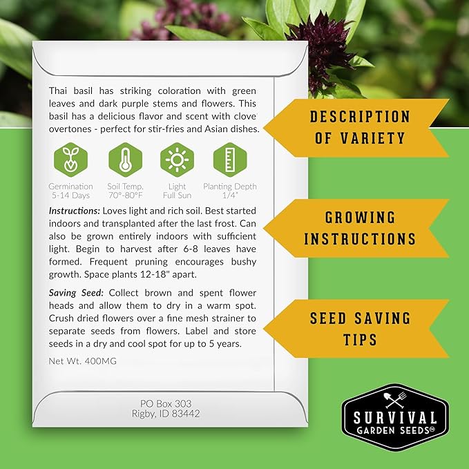 Thai Basil Seeds for Planting – Sweet Thai Basil with Anise Flavor for Asian Cooking – Heirloom Non-GMO Herb Seed for Indoor or Outdoor Gardens – Survival Garden Seeds (2 Pack)