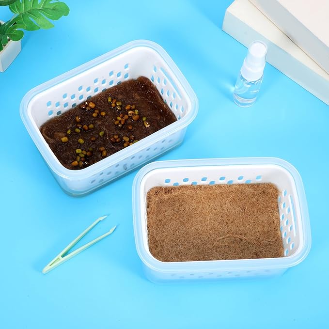 Seedling Sprouting Trays 2pcs Soilless Nursery Pots for Indoor Gardening Greenhouse Accessories Small Planting Containers for Seed Starting
