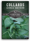Collard Green Seeds for Planting | Georgia Southern Heirloom Non-GMO Variety | Leafy Greens for Home Vegetable Gardens - Survival Garden Seeds (1 Pack)