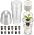 12 Pack 3.54 in Clear Hydroponic Nursery Kit with Humidity Dome Transparent Plant Starter Hydroponic Pots for Seed Starting Gardening Flower Plant Pots Germination Nursery Pot