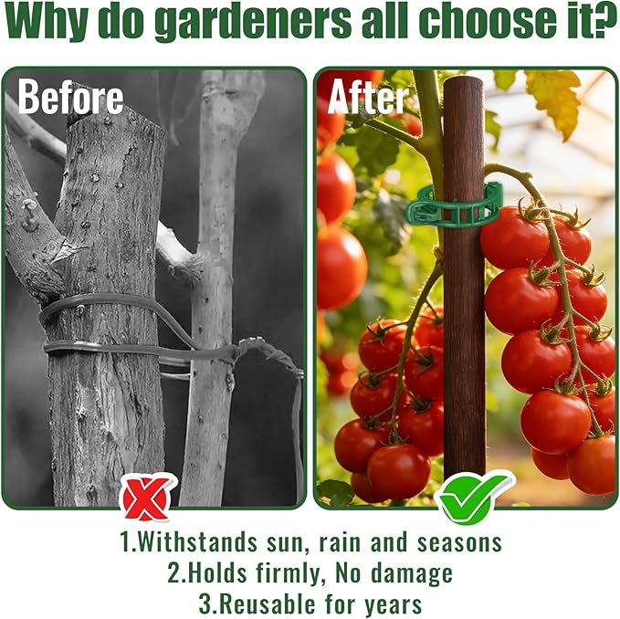 300 Pcs Tomato Clips for Climbing Plants & Garden Clips | All-Season Durable Reusable Plant Supports for Cucumbers, Grapes and Vegetables (Green)