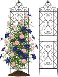 ARIFARO 78 inch Metal Garden Trellis for Climbing Plants, Pack of 2, Indoor/Outdoor Sturdy Decorative Plant Trellises for Potted Plants, House Plants, Climbing Vines, Floral Pattern