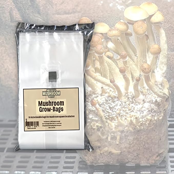 AMIATCH Mushroom Grow Bags with Injection Port, CO2 Filter, 3 Mil Thickness. Pack of 10 Professional Injection Port Grow Bags | autoclavable