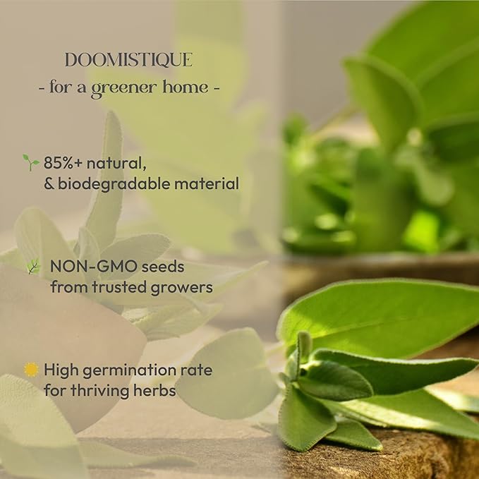 Window Herb Garden Kit – 10 GMO-Free Indoor Herbs with Biodegradable Bamboo Pots – Eco-Friendly Kitchen Planter Set for Easy Gardening & Sustainable Growing – A Unique Gift for Women and Kids